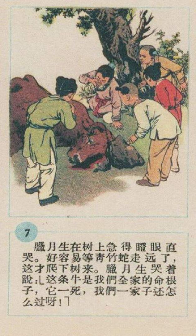 9zw2B8.jpg