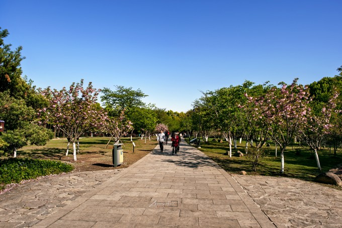 CPst8f.jpg