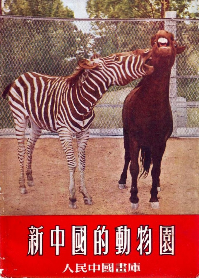 CuBDun.jpg