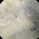 CycnLq