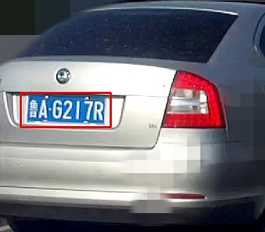 CjRh11.jpg