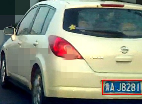 PtakA1.jpg