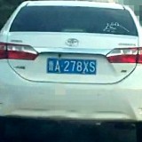 PLiC0s