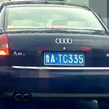 PvAcb8
