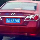 PvFBIH
