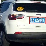 iPSptg