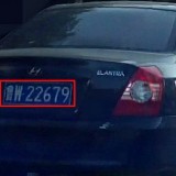 i1ptmR