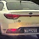 ioPvP1