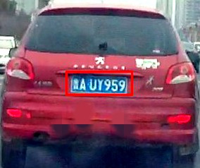 Flapss.jpg