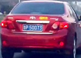 FNetBV.jpg