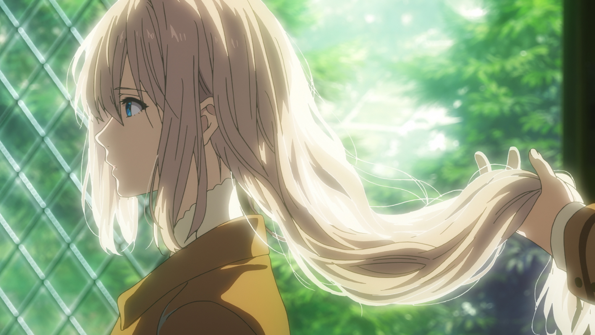 请输入图片描述