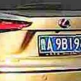 wjO7yn
