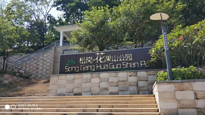 0jiVaV.jpg