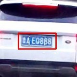 BiEVG4
