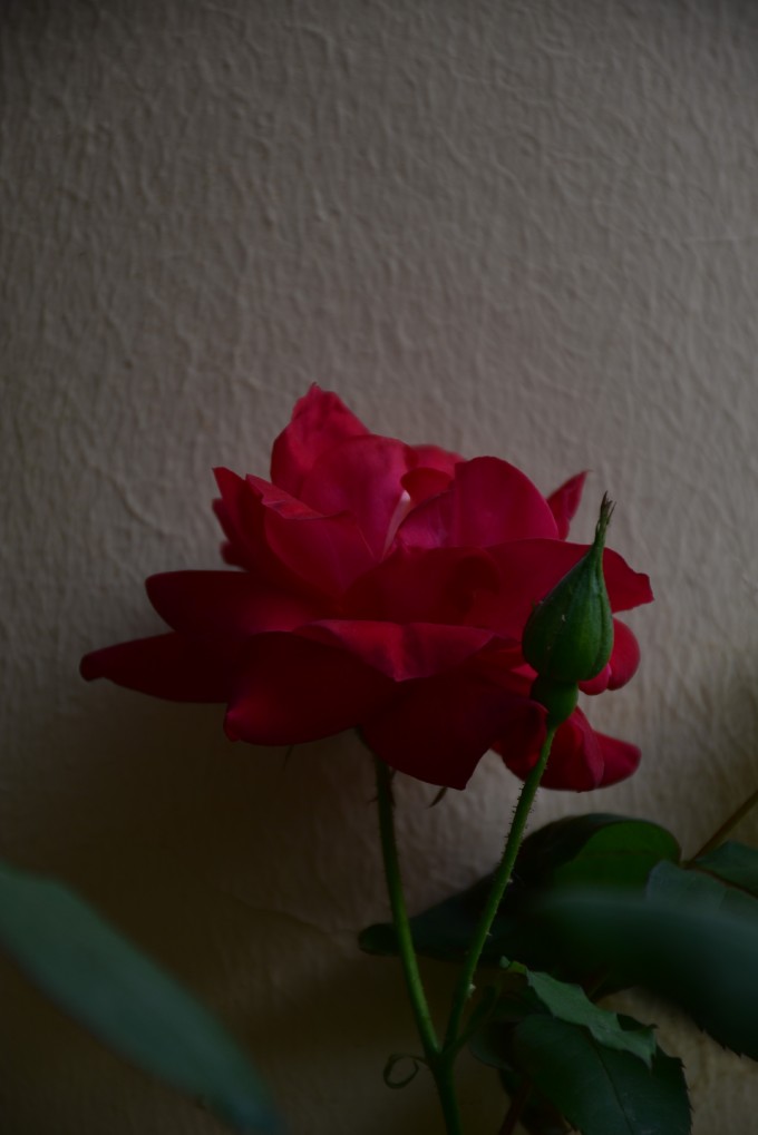 Lcw64f.jpg