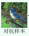 xovji9.png