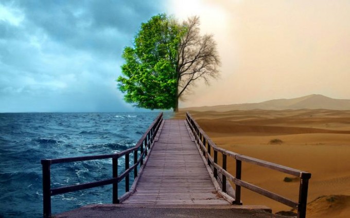 2ac8ed814b69425680af4c6d67fd16b5