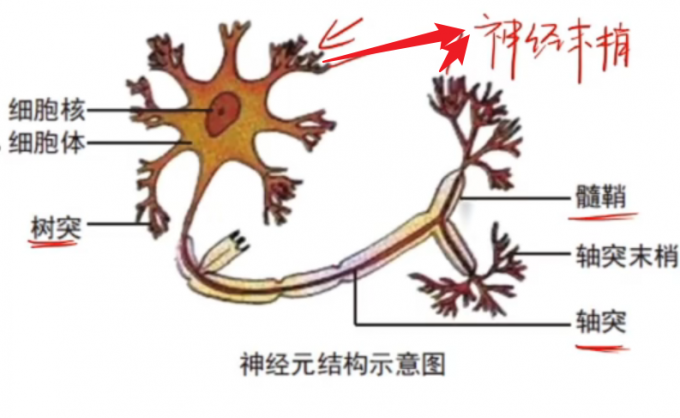zaEy38.png