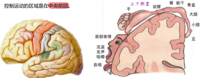 zwZiSP.png