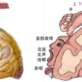 zwZiSP