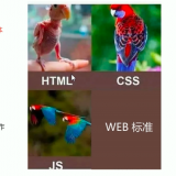 pSCIbwV