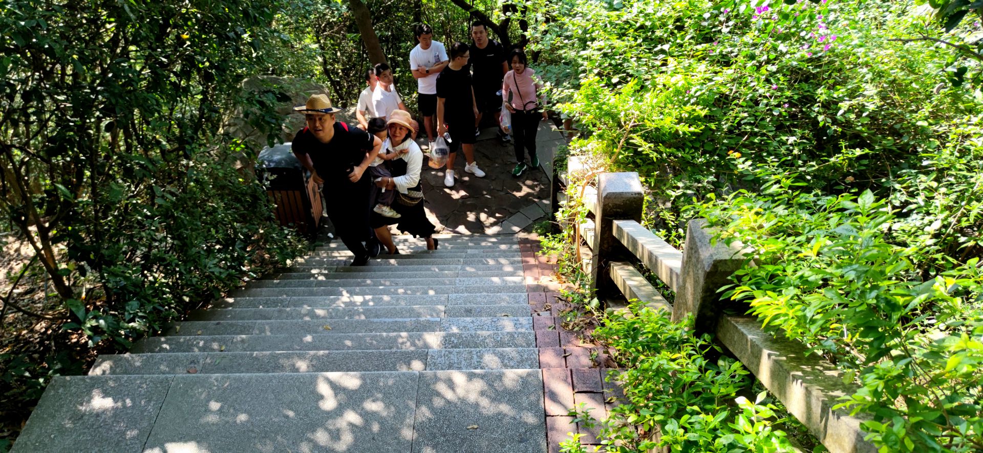 莲花山郊野公园