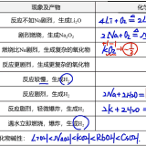 pSNP00g