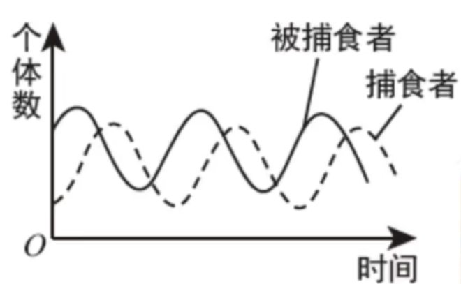 pSw1SGn.png