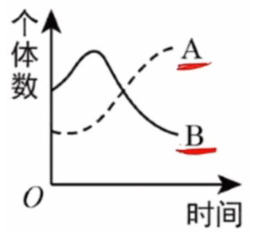 pSw8454.png