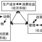 pSscMl9