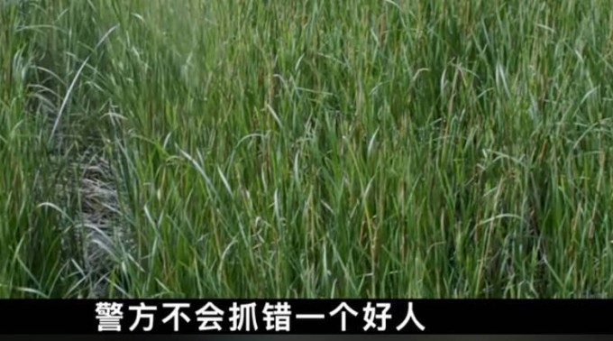 截图 2023 03 07 18 46 21