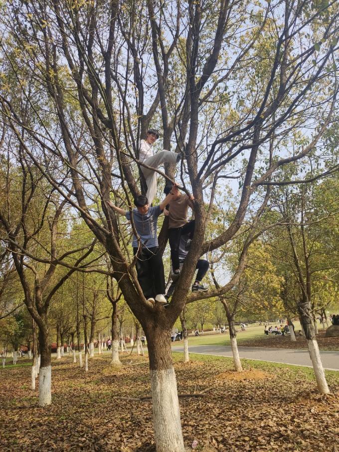 IMG 20210314 143141