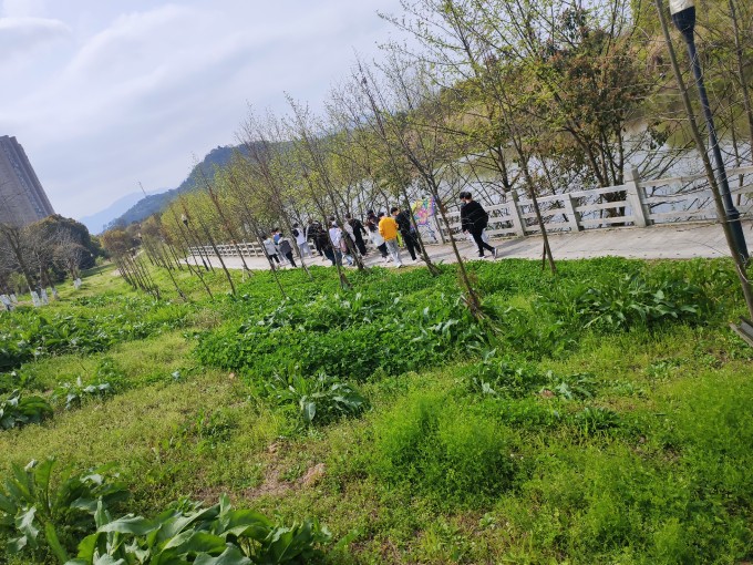 IMG 20210314 135524