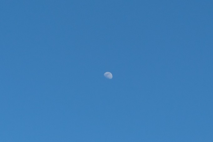 IMG 20230201 080422
