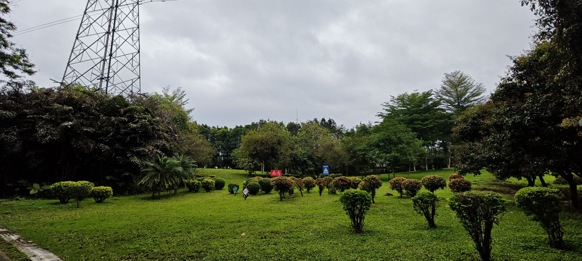 东莞市荔香湿地公园