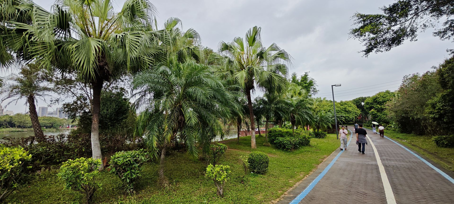 东莞市荔香湿地公园