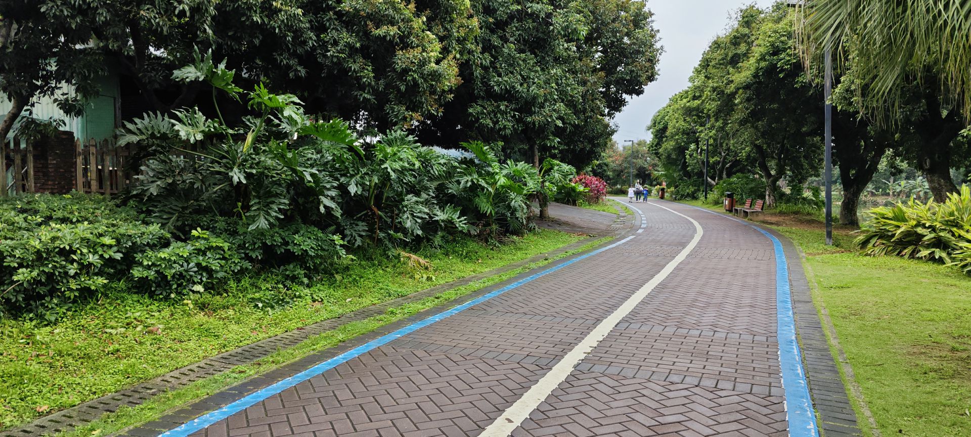 东莞市荔香湿地公园