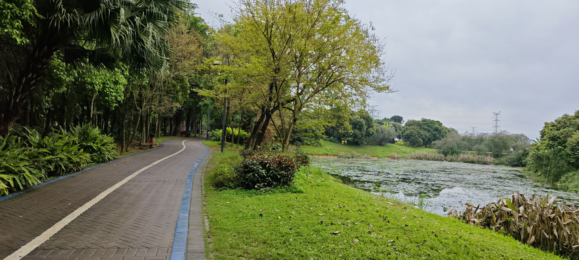 东莞市荔香湿地公园