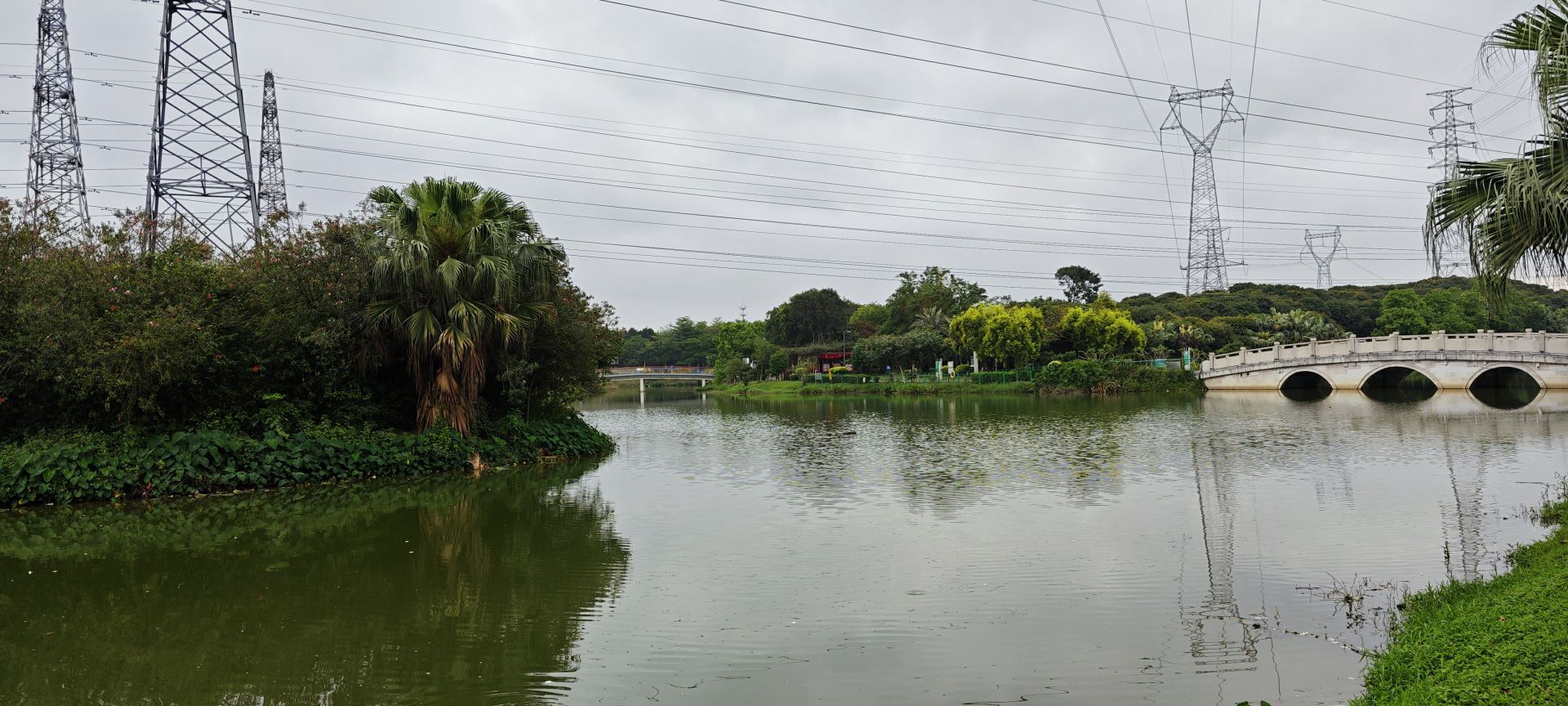 东莞市荔香湿地公园