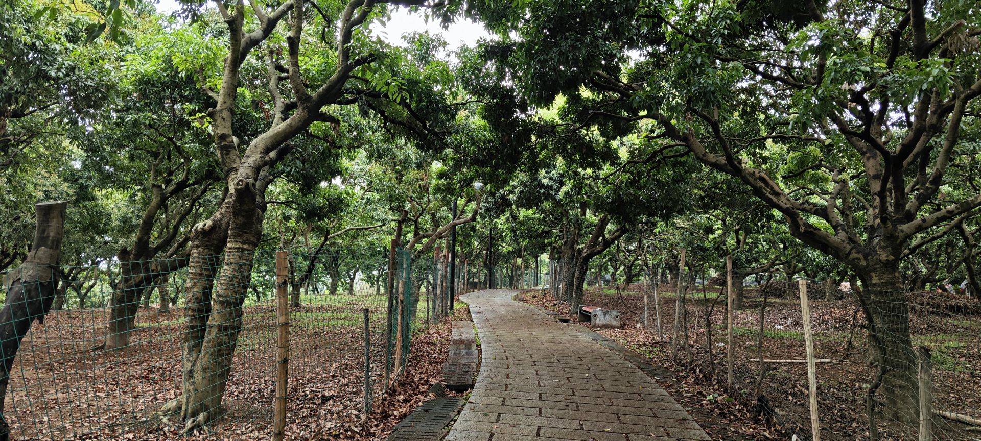 东莞市荔香湿地公园