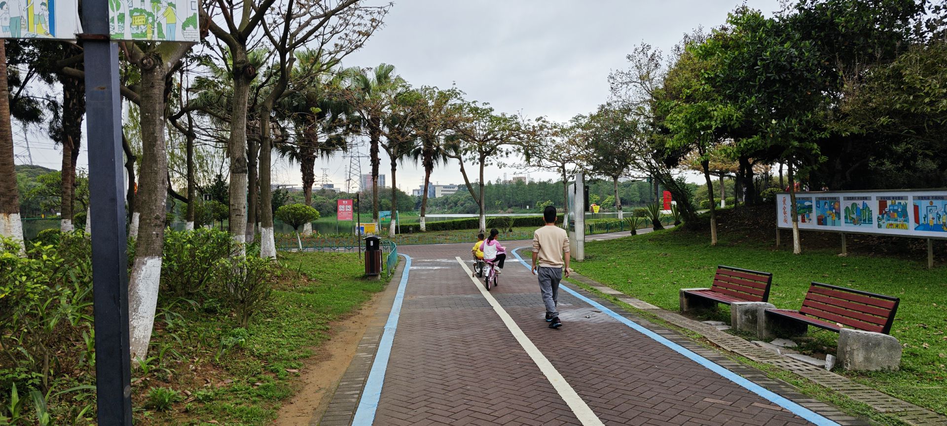 东莞市荔香湿地公园