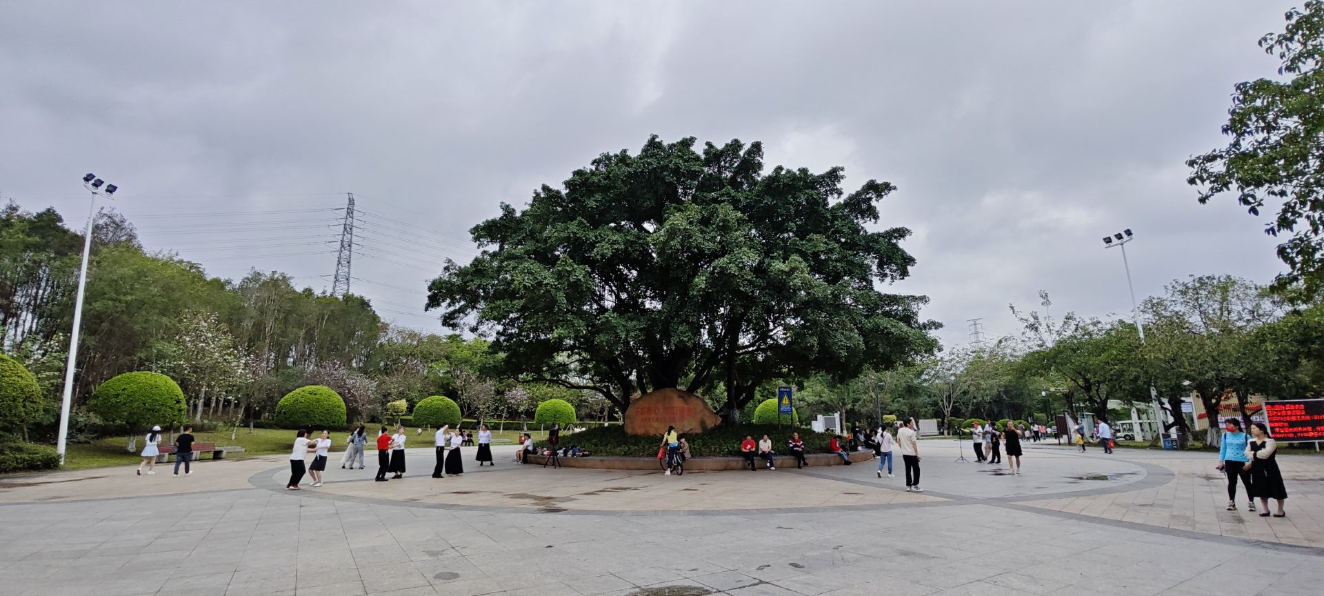 东莞市荔香湿地公园