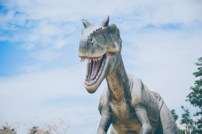 alvaro reyes Ow8TEBloAkE unsplash
