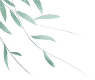 pC6B9Rs.png