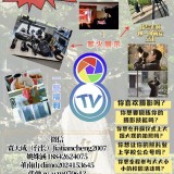 pCTf8T1