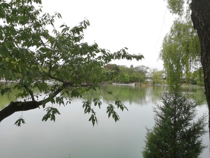 IMG 20230506 104848