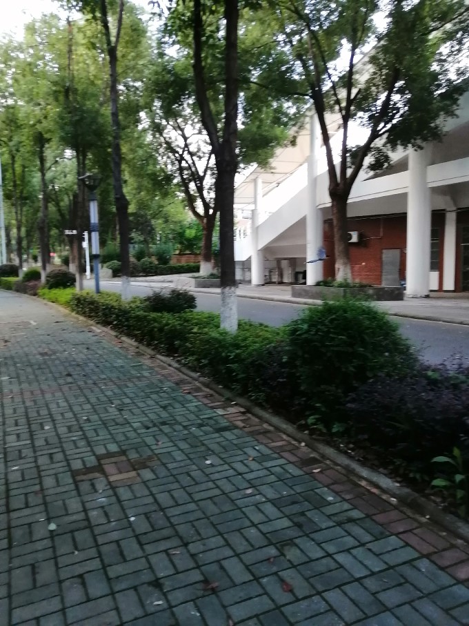 IMG 20230715 183617