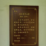 pPkXU8f