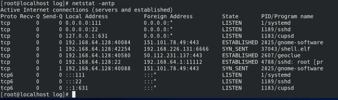 netstat