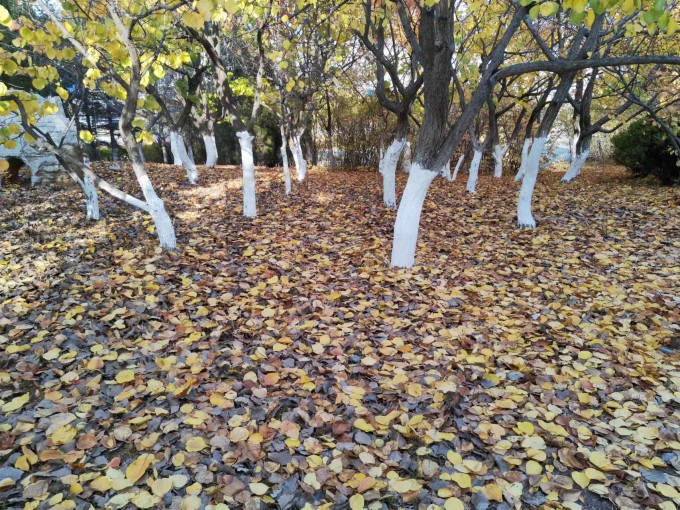 微信图片 20231104142245